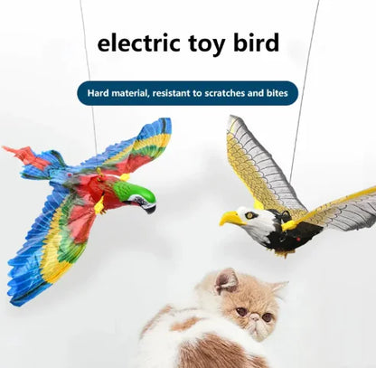 Flying Eagle Cat Toy