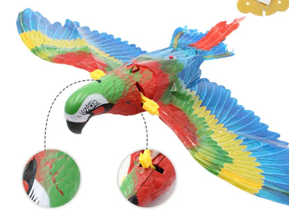 Flying Eagle Cat Toy